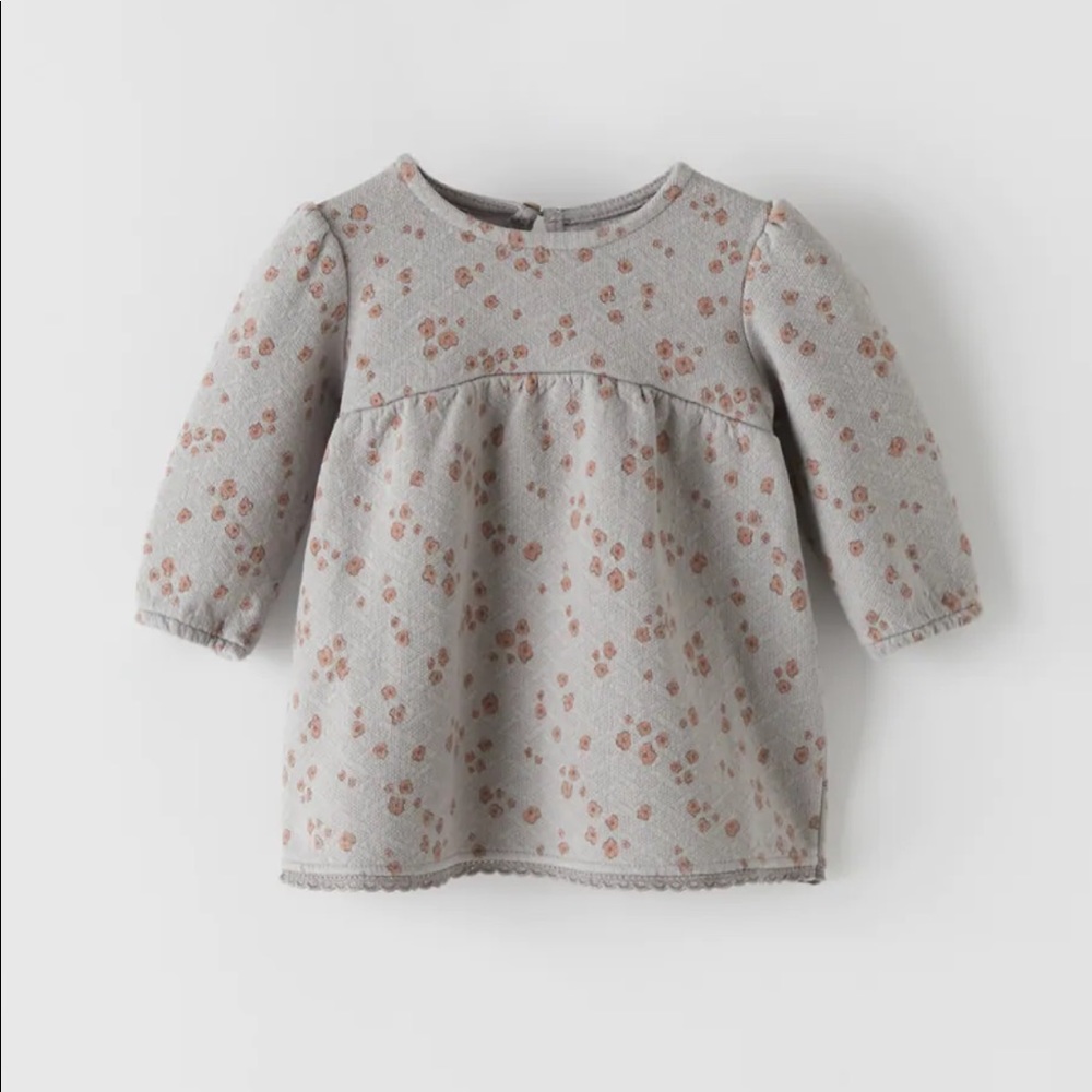 Zara Floral Jacquard Dress